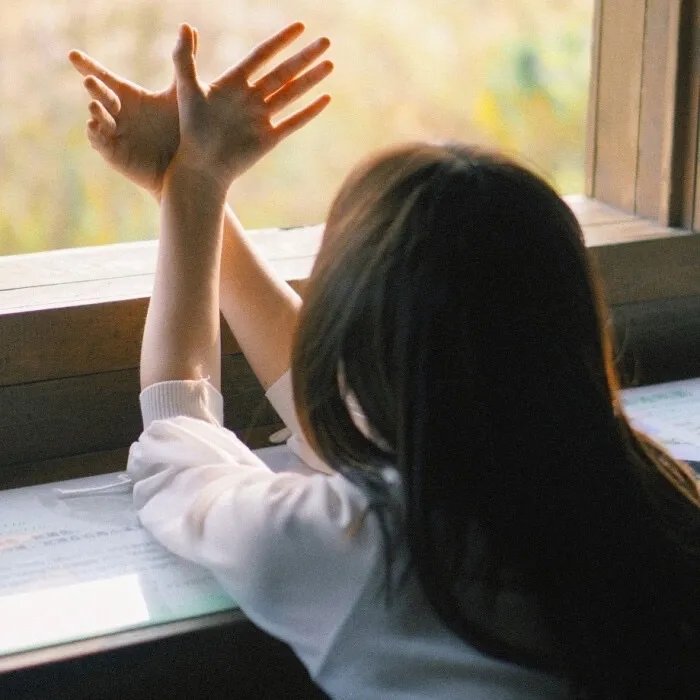 重生后安小姐又美又飒